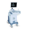 sonography ultra-som scanner ultra-sônico máquina